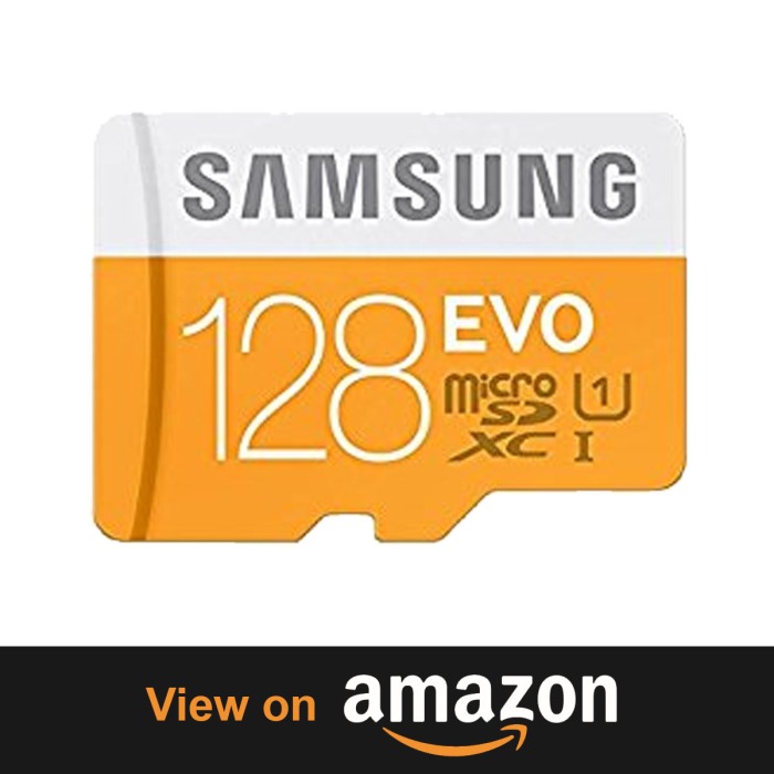 Samsung Memory 128GB Grade 1 Class 10 EVO – Store Your Biggest Moments Top 10 Beasts