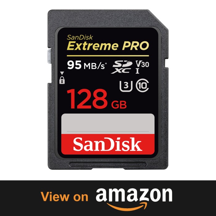 Sandisk Extreme Pro 128GB – Dramatically Reduces Transfer Time Top 10 Beasts