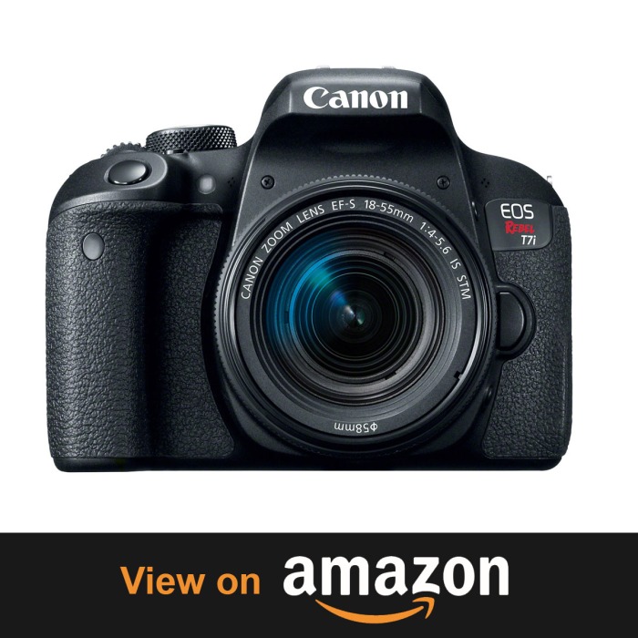 Canon EOS Rebel T7i – Unlock Your PotentialTop 10 Beasts