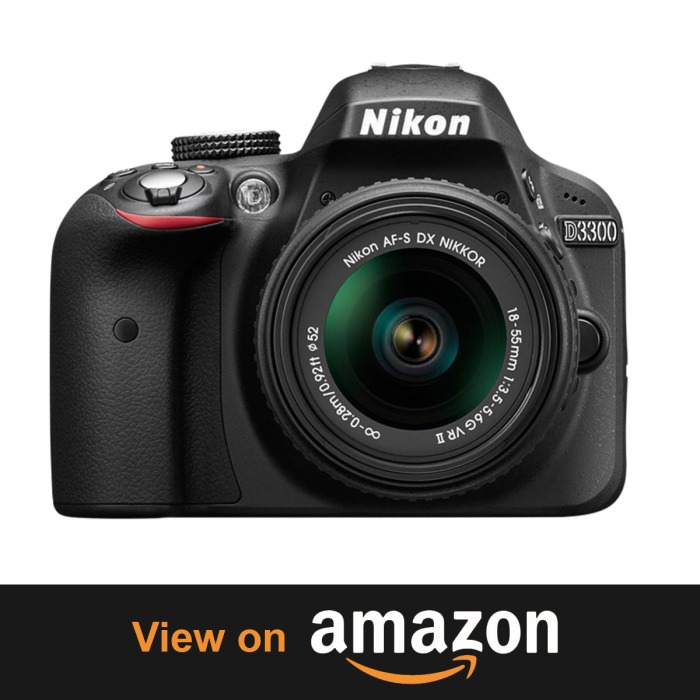 Nikon D3300 – Beautiful Memories Made EasyTop 10 Beasts