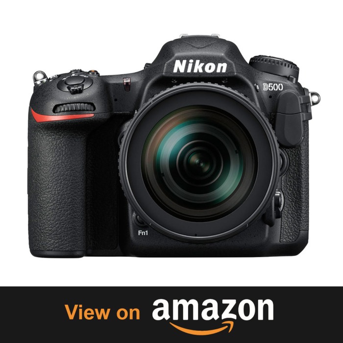 Nikon D500 – Flagship Power, DX Agility (Package) – Follow Your Passion Top 10 Beasts