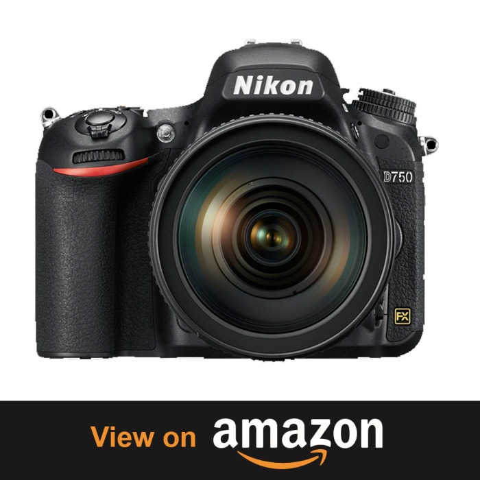 Nikon D750 – Full Frame Freedom Top 10 Beasts